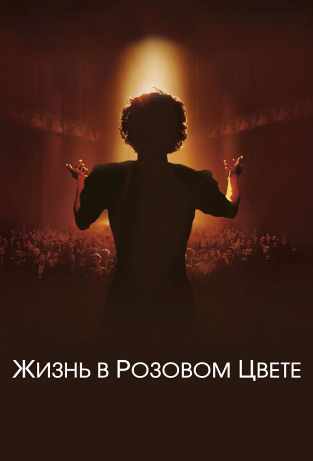 Жизнь в розовом цвете (2007)