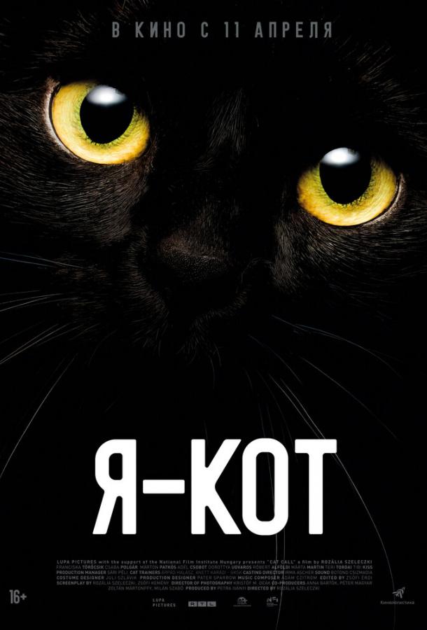 Я — кот (2023)