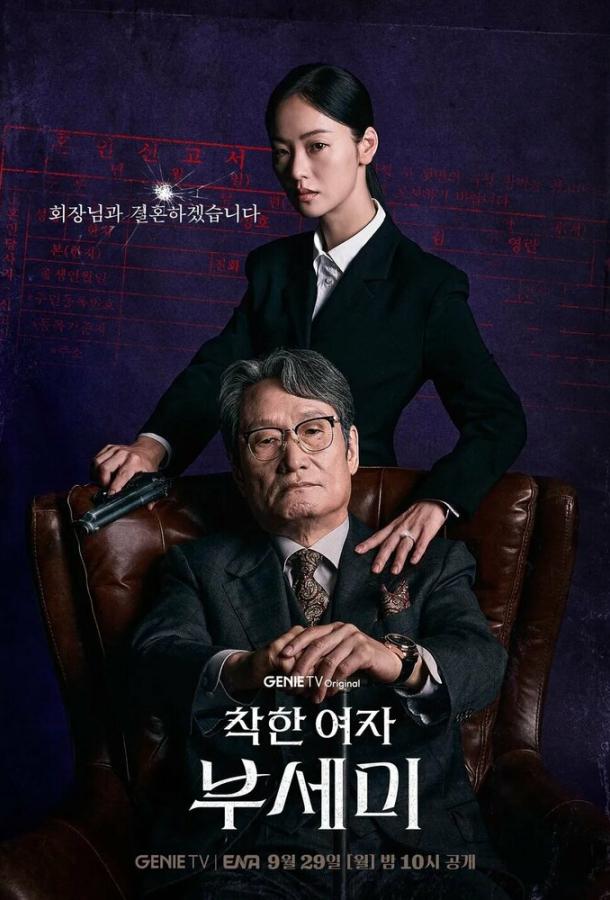 Госпожа Инкогнито / Хорошая женщина Бу Се Ми (2025)